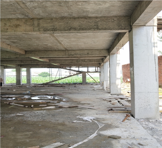 1604021727928997.jpg IMG_20200716_095505.jpg