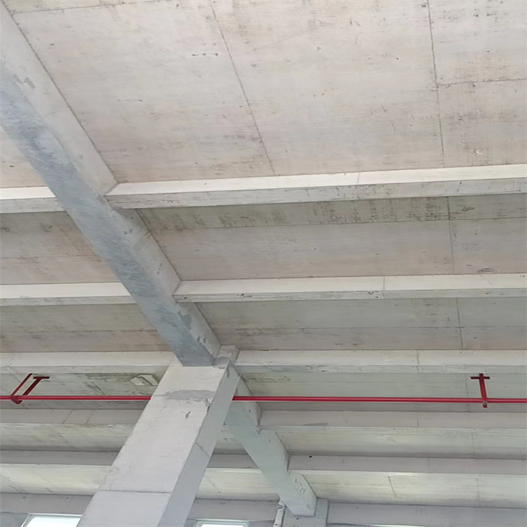 1667805040386840.jpg 750x750照片34.jpg