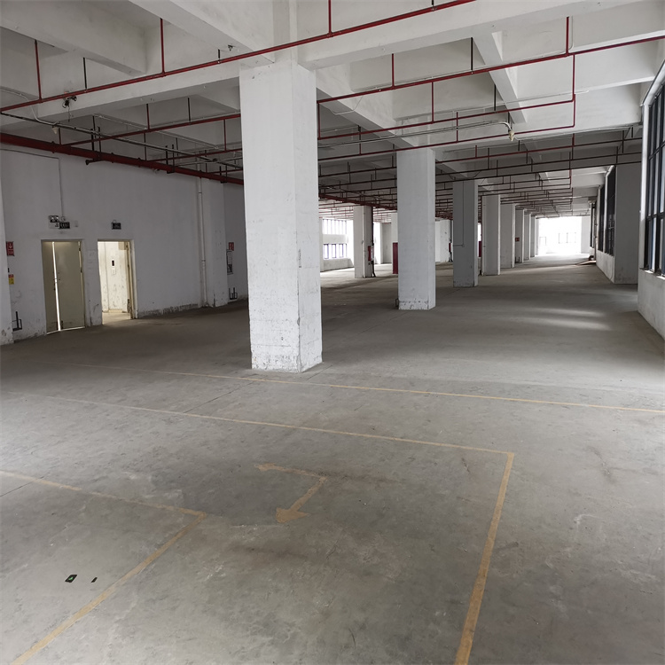 1669013470392246.jpg 750x750照片71.jpg